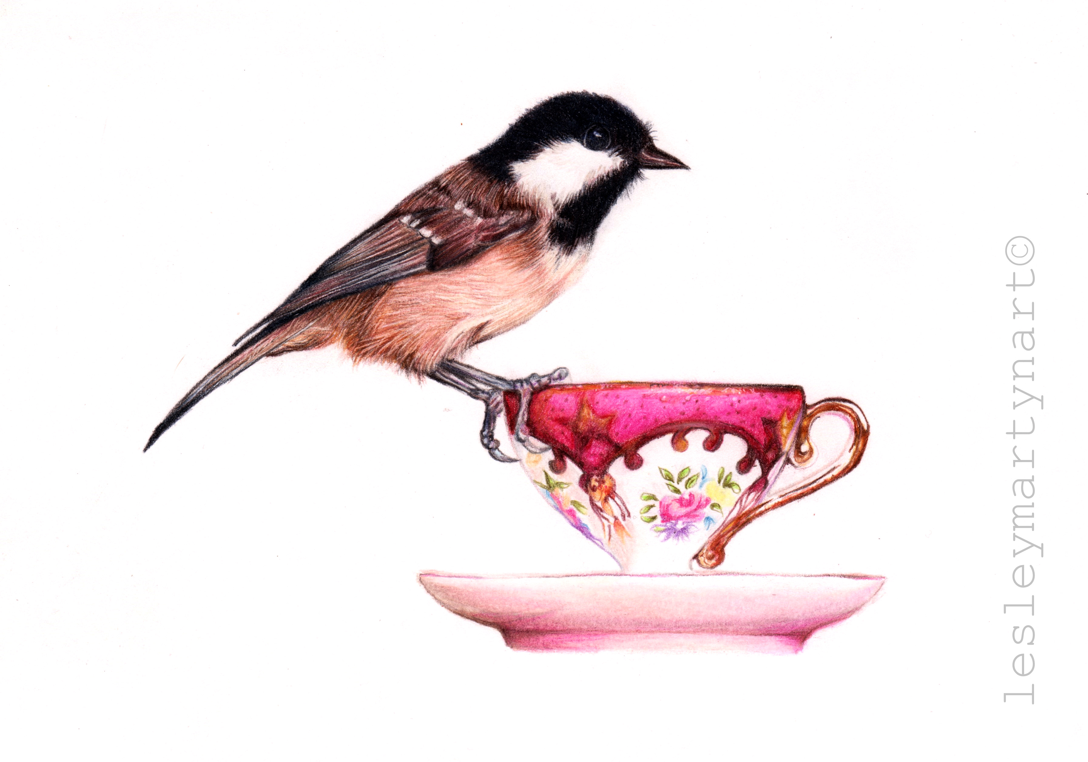 Lesley Martyn image of bird on tea cup